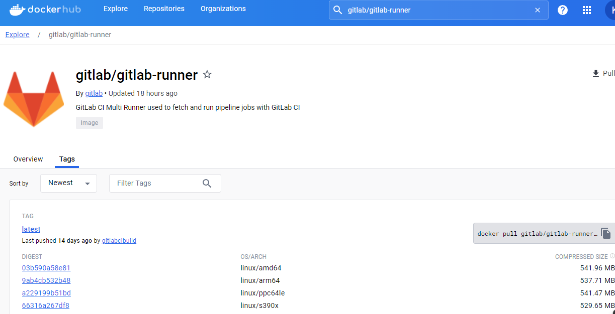 gitlab-runner-dockerhub